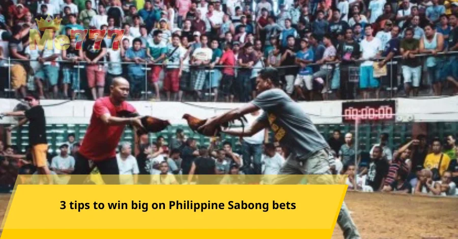 3 tips to win big on Philippine Sabong bets